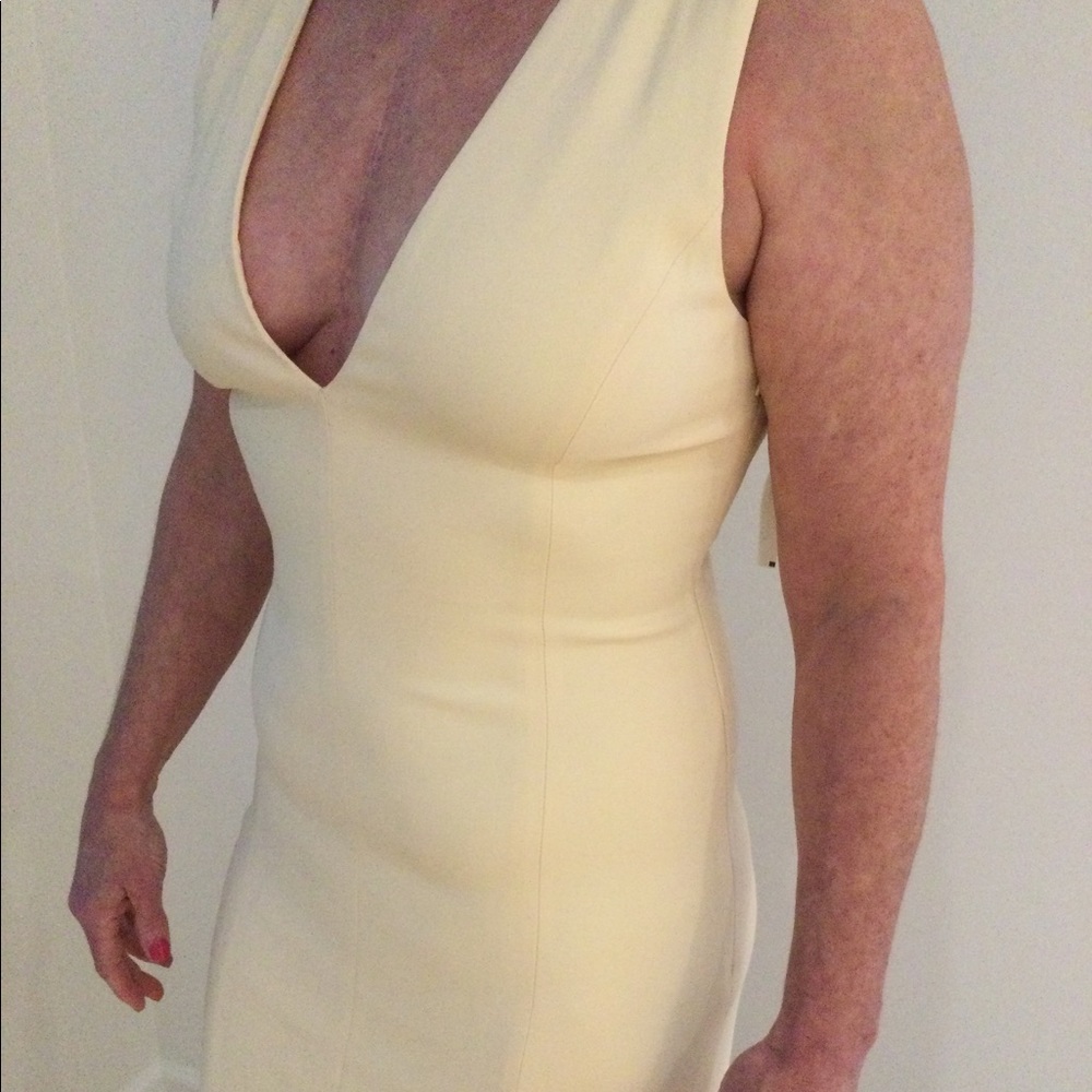 NWT Alexander Wang sexy low cut midi dress